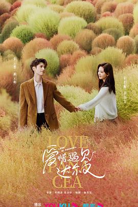 鹤壁专业网站优化哪家好